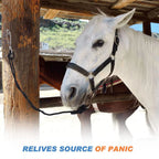 Horse Tie Ring with Eye Bolts & Snaps for Horses to Prevent Pulling
