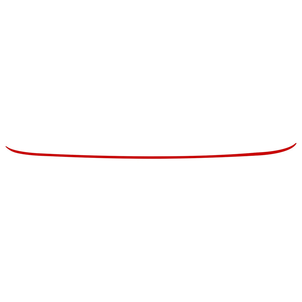 Red Front Grille Pinstripe Trim Sticker Decal for Lexus IS (2014-2017)