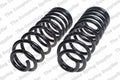 Rear Coil Spring Kit for Ford (4427537)