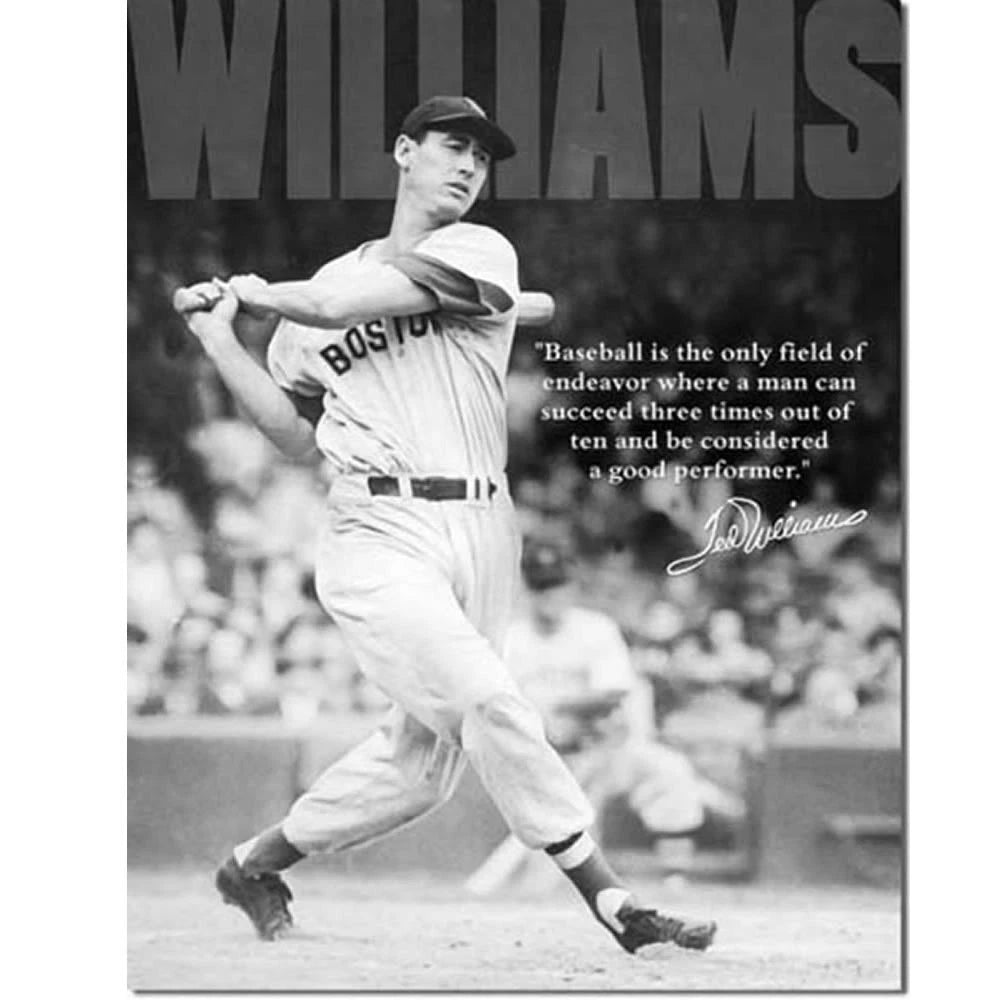 Vintage Replica Tin Metal Sign Ted Williams Baseball Player (1507)