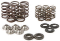 Raptor Spring Kit with Ti Retainers for Ford Raptor (2010–2023)