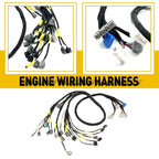 OBD2 Engine Wire Harness for Honda Civic Integra B16 B18 D16 (1989–2000)
