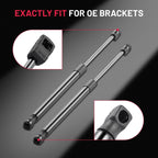 2x Hood Lift Support Struts for Honda Accord Crosstour (2010–2015)