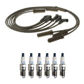 Denso Wire Set & 6 Double Platinum Spark Plugs for Chevy Pontiac V6 (0.05)