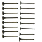 Exhaust and Intake Valves for Hyundai Accent Kia Rio (1996-2011)