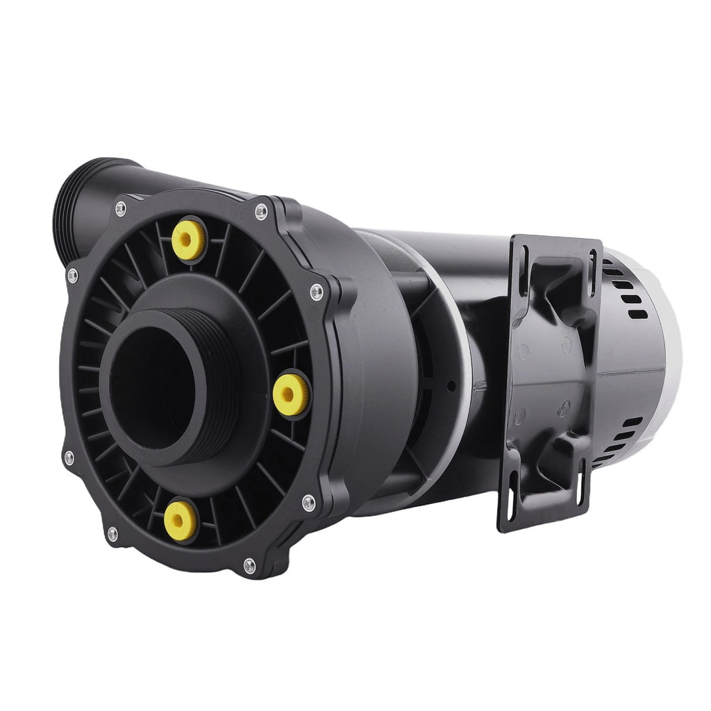 Dual-Speed Spa Pump Motor for Spa (230V, 56 Frame)