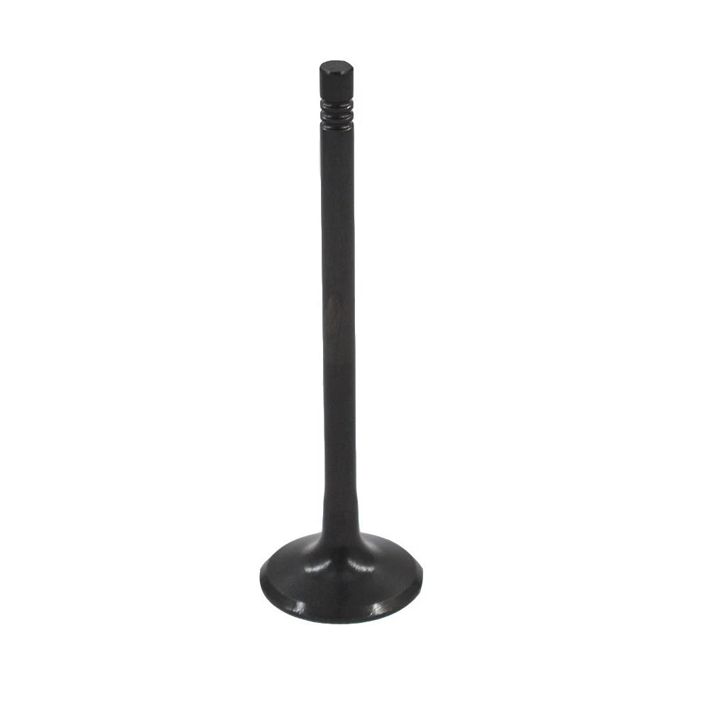 16 Engine Valves for GM ECOTEC 2.0 2.2 2.4 DOHC (2000–2010)