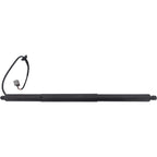 Liftgate Lift Supports Set of 2 for S Pair