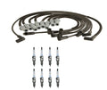 Denso Wire Set & Platinum TT Spark Plugs Kit for Dodge 5.9 V8 (1994–2003)
