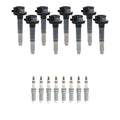 Set of 8 Ignition Coils & NGK Ruthenium Spark Plugs for F-150 Mustang (2015–2020)
