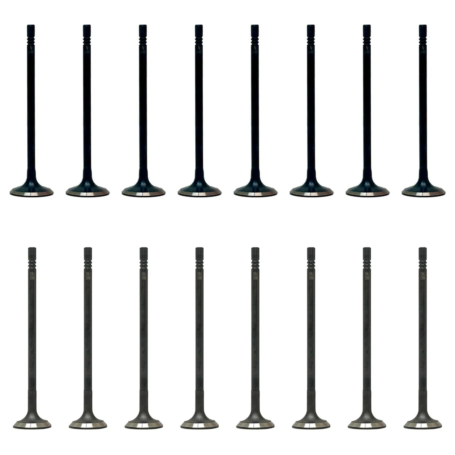 Set of 16 Intake & Exhaust Valves Kit for Chevrolet Cruze Equinox Malibu Terrain (L4)