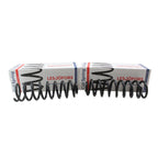 Heavy Duty Rear Coil Spring Kit for Chevrolet (4414206)