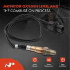 O2 Oxygen Sensor for Ford F-150 (2021)