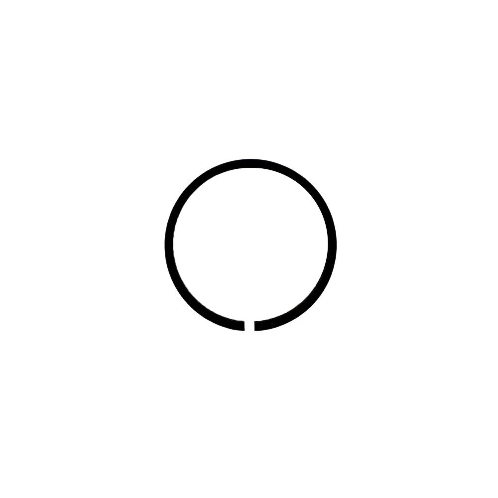Hydraulic Piston Ring for Massey Ferguson (Fits 892604M1)