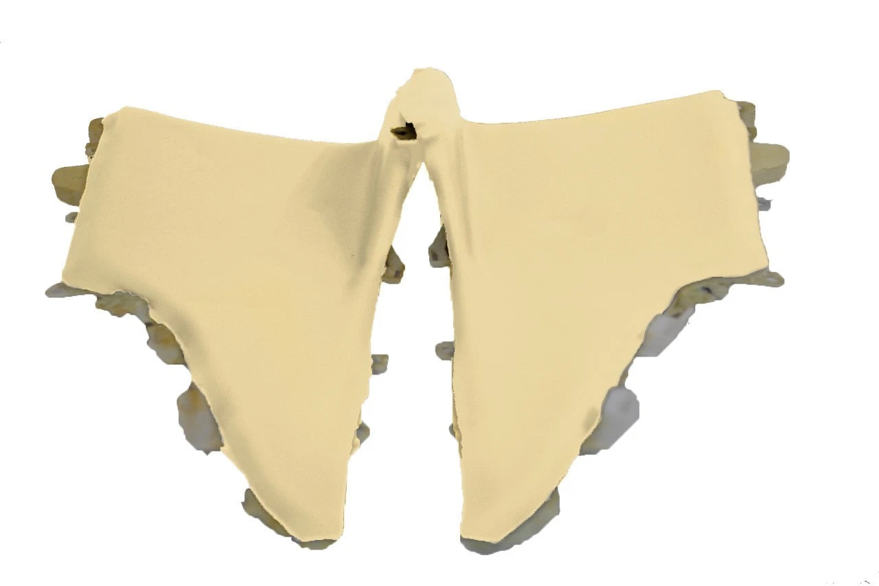 Leather Door Panel Insert Cards for Toyota Corolla (2009–2013) Beige