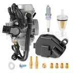 Carburetor & Spark Plug for Honda Foreman Rubicon 500 TRX500 (2001–2012)