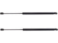Liftgate Lift Support Set of 2 for Mazda Tribute (2001–2005) RW292QR