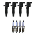 Set of 4 Ignition Coils & Spark Plugs for Ford Focus 2.0 L4 (2000–2011)