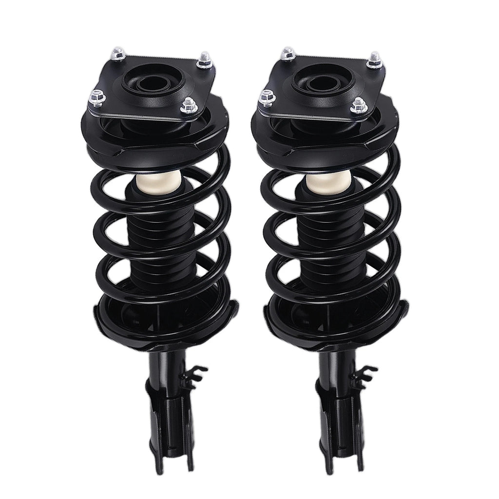 Front Strut Spring Assembly for Kia Sedona (2002–2005) 172171