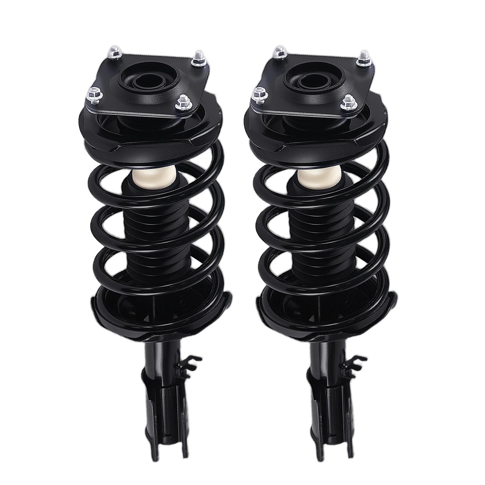 Front Strut Spring Assembly for Kia Sedona (2002–2005) 172171