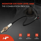 O2 Oxygen Sensor for Ford Expedition (2015-2017)