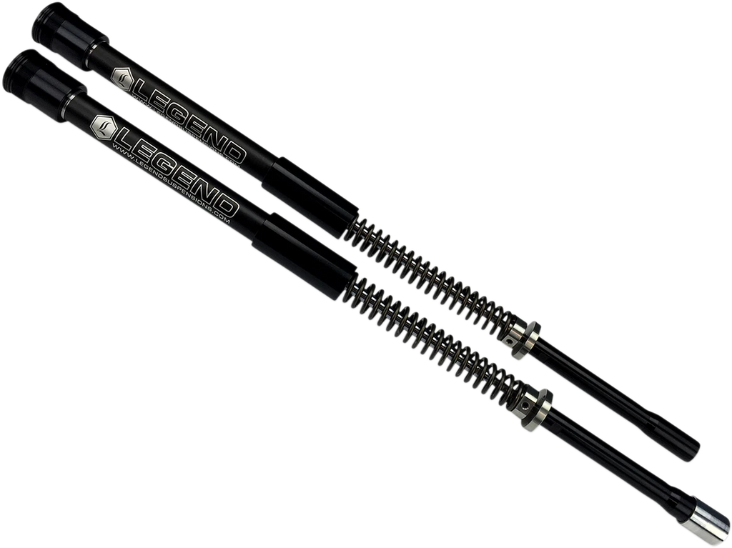 Standard AXEO Front Suspension for Trike (2014–2016) 49 mm