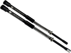 Standard AXEO Front Suspension for Trike (2014–2016) 49 mm
