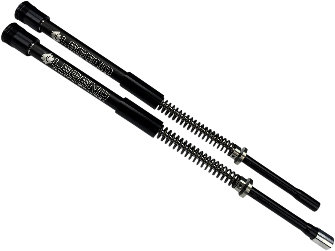 Standard AXEO Front Suspension for Trike (2014–2016) 49 mm