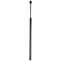 Hood Lift Supports Set of 2 for Buick