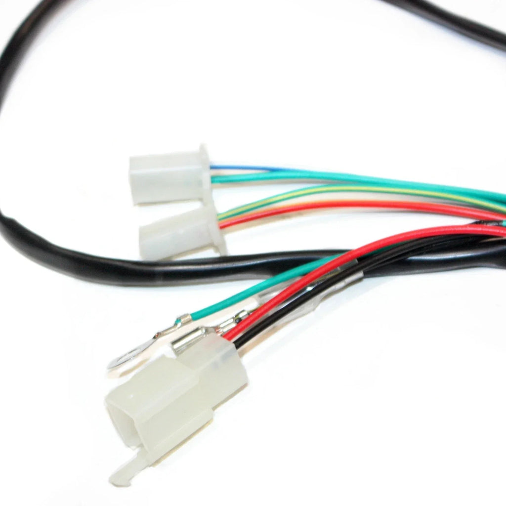 200cc 250cc Engine DC Wiring Harness Loom for PIT Trail Dirt Quad Bike Buggy
