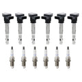 Set of 6 Ignition Coils & Denso Platinum TT Spark Plugs for Audi Q5 (2009)