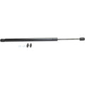 Lift Support Set for Honda Accord (Coupe Sedan)