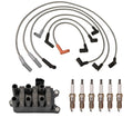 Denso Ignition Coil Wire Set & 6 Double Platinum Spark Plugs for Ford 4.2L