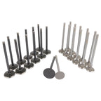 Engine Valve Set for Chrysler 300 Dodge Charger Avenger (2005-2010)