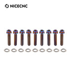 Set of 8 Titanium Alloy Cam Cover Screws for Harley Road Glide, Road King, Street Glide (2015–2023)