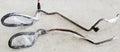 Set of 2 Transmission Return Oil Cooler Hoses for Jaguar XJR VDP SC (1998–2003)