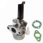 Carburetor Kit for CS4325 (250cc)
