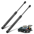 2 Piece Gas Spring Strut Lift Supports for C16-06288