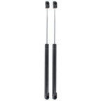 Set of 2 Hood Lift Supports for Nissan (2000–2006)