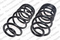 Rear Coil Spring Kit for Buick (4412134)
