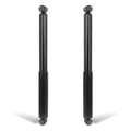 Set of 2 Shock Absorbers for Ford F150/Lincoln Mark LT (2004–2014)