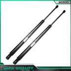 2 Lift Supports for Ford Expedition (2003–2006)