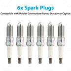 6x Spark Plugs for Holden Commodore Rodeo Statesman Caprice Calais (3.6L)