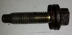 Oil Pan Bolt for Lincoln Mark VIII (1997–2002)