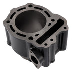Cylinder Barrel Kit for Honda FES 250, NSS 250, Forza EX, Jazz, Reflex (2001–2008)