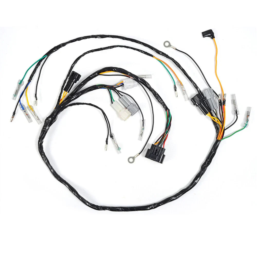 wiring harness for Yamaha Blaster 200 YFS200 (2003–2006)