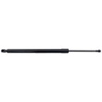 Liftgate Lift Supports for Toyota RAV4