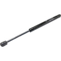 Set of 2 Trunk Lid Lift Supports for Sedan