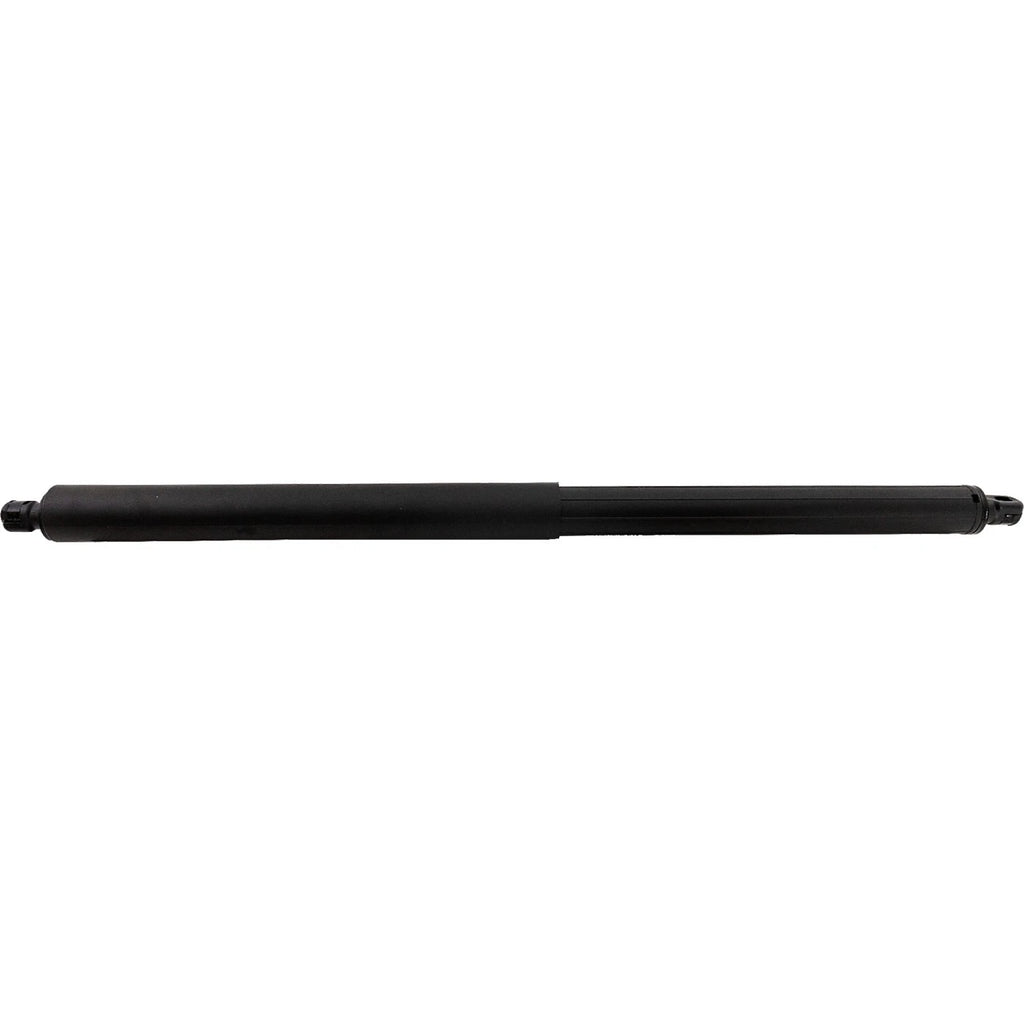 Lift Supports for Hatchback (Driver or Passenger Side)