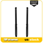 Rear Shock Absorbers for Ford F-150 (2009–2019)